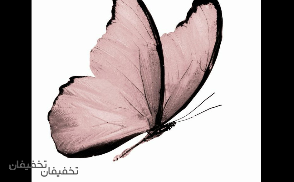 مرکز لیزر پروانه