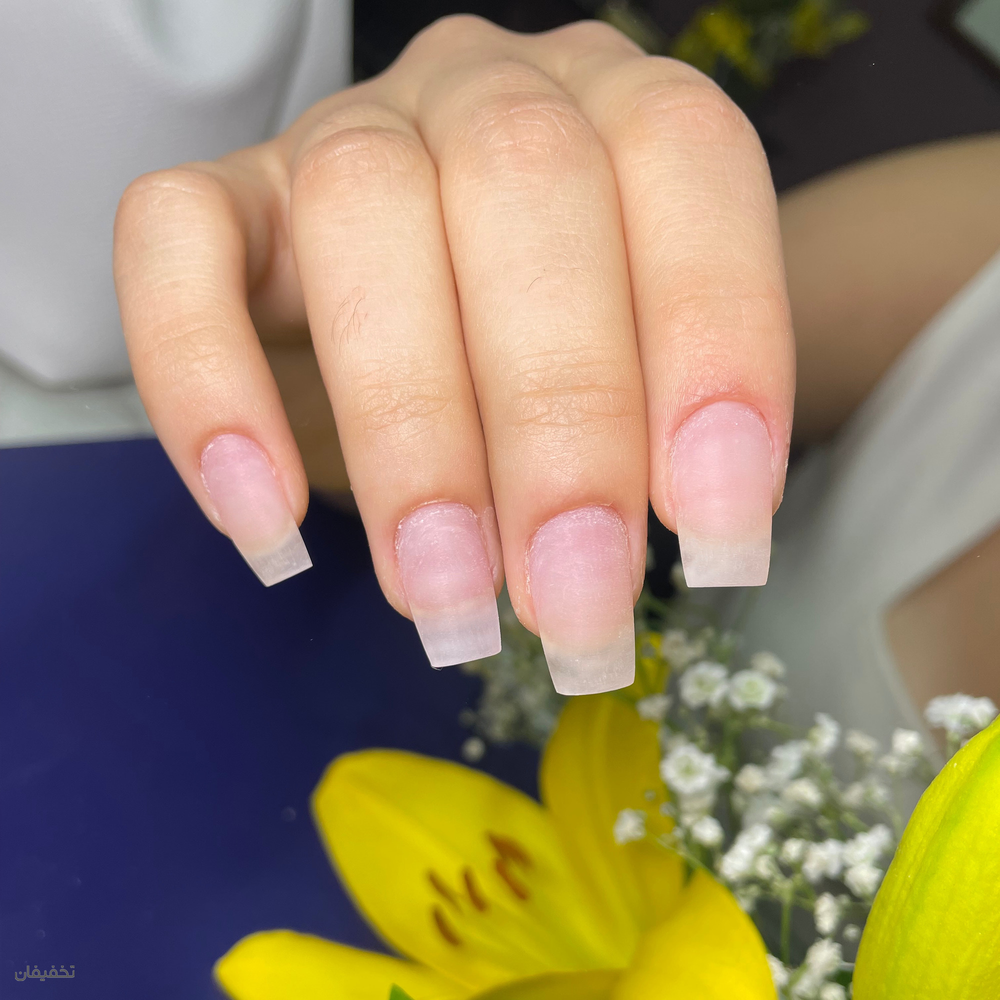 سالن زیبایی تخصصی سمر یگانه
