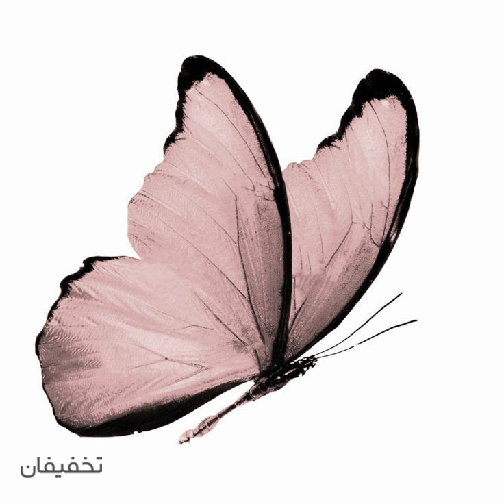 مرکز لیزر پروانه