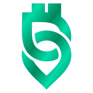 لوگوی ارزینجا